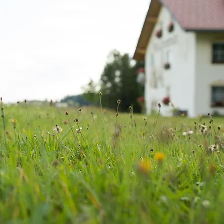 Gasthof Pension Waldesruh