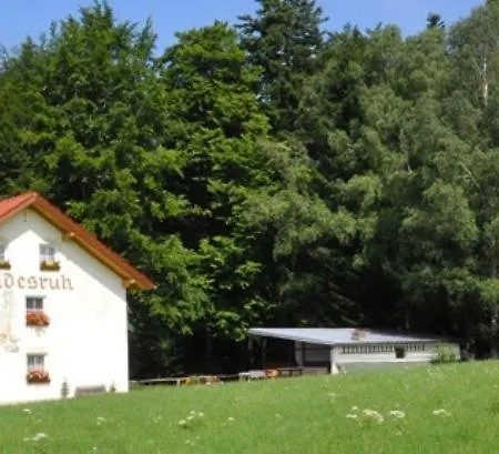 Pension Waldesruh Sankt Oswald-Riedlhuette
